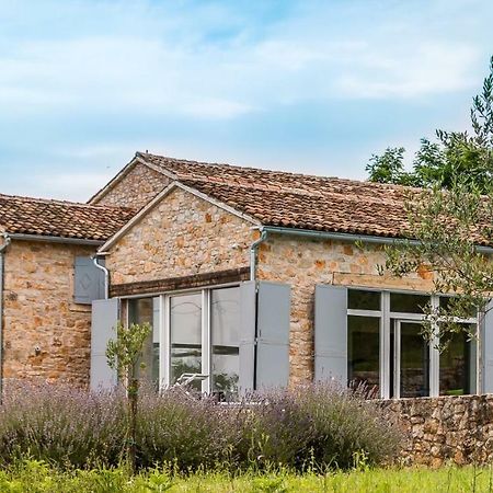 Tenuta Paljari Vizinada Exterior photo